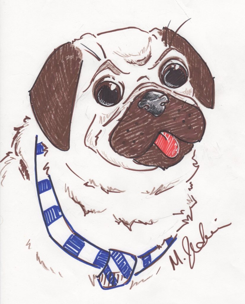 Pug by Meaghan Jodoin Herbert