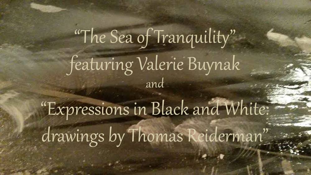 Sea of Tranquility & Expressions in Black and White exhibits show image for The BOX Gallery