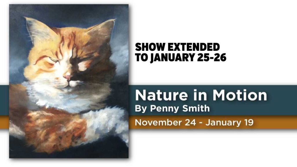 Nature in Motion by Penny Smith show image