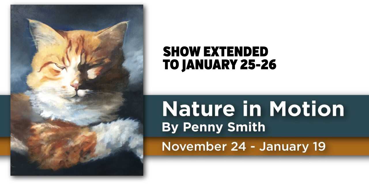 Nature in Motion by Penny Smith show image
