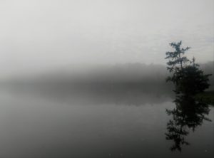 "Foggy Morning at the Lake" by Brad Nellis