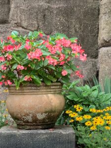 garden wall photo by J Bragg