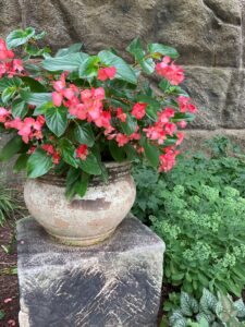 garden wall photo by J Bragg